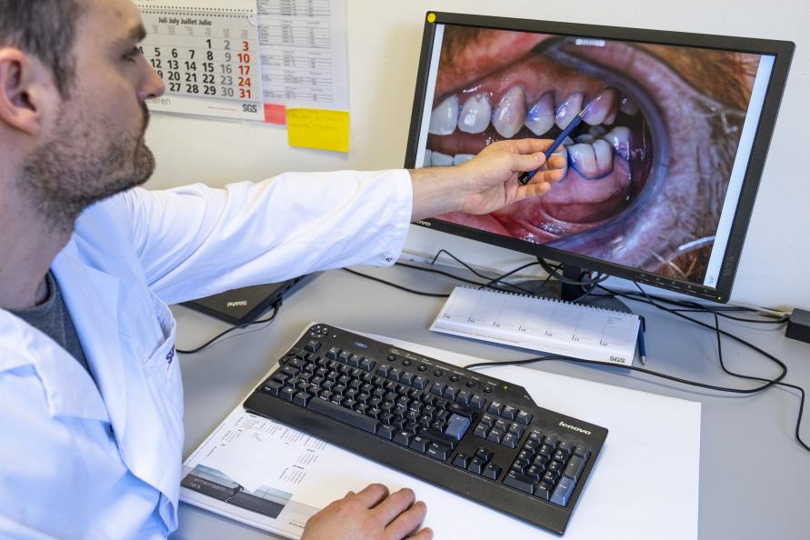 Tandläkaren gör bedömning av placknivå utifrån högupplösta bilder. Foto: Tobias Meyer
